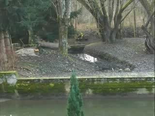 001-meddley 28 février 2008