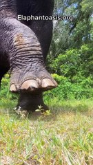 only in this channel you can watch this