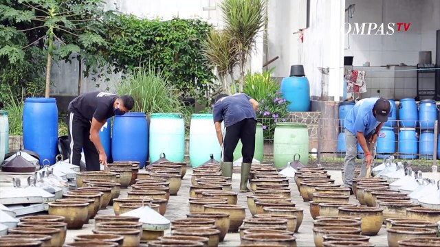 Kita Mampir ke Pabrik Tauco Legendaris di Cianjur Kuy!