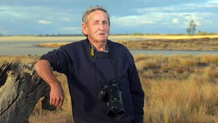Floodwaters bring new life to Menindee in far west NSW