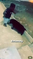 can't laugh alone