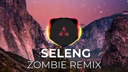 RAN D - ZOMBIE | SELENG REMIX | RAN D ZOMBIE HARDWELL |