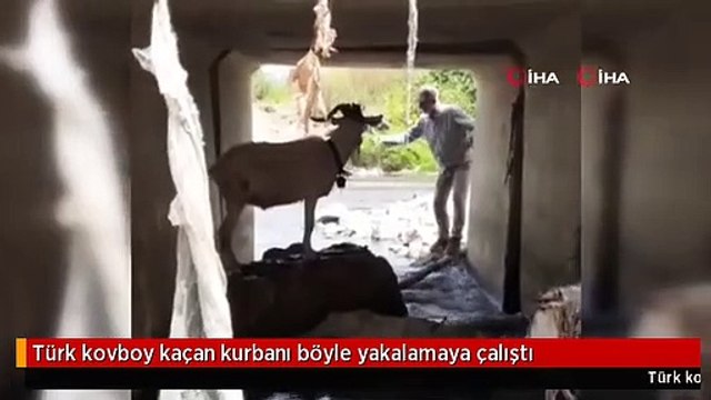 Türk kovboy kaçan kurbanı böyle yakalamaya çalıştı