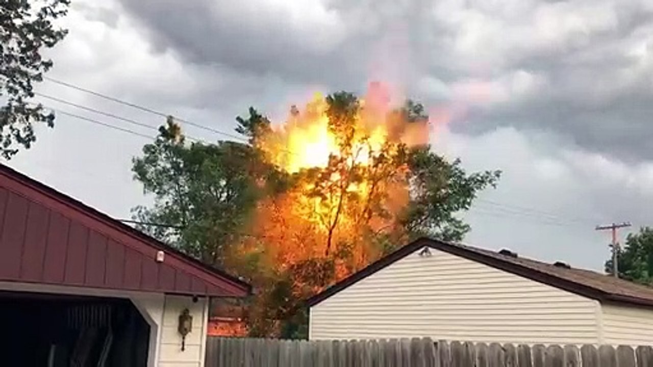 Our tree is on fire