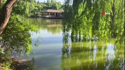 Afyonkarahisar’ın küçük saklı cenneti ‘İnli Balıklı Gölü’ böyle görüntülendi