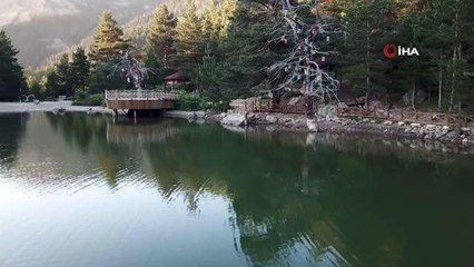 Doğa harikası Limni Gölüne ziyaretçi akını