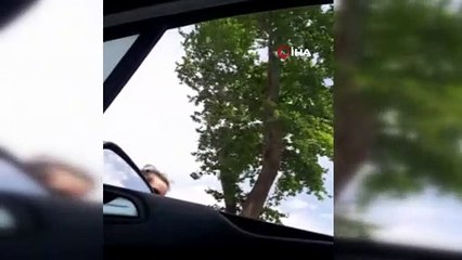 Değnekçiye polis şoku kamerada