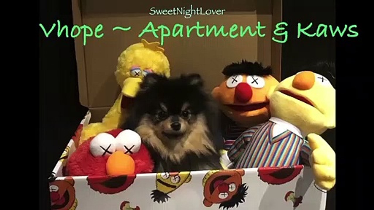 VHOPE - APARTMENT, KAWS ANALYSIS