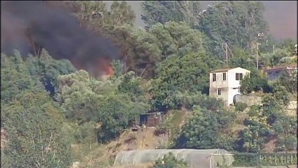 Inferno a Cipro. Devastante incendio nel sud. Chiesto aiuto a Ue e Israele