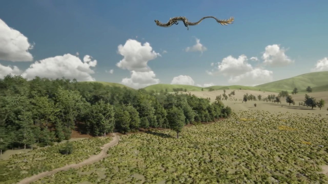 Asian Dragon Flight Test | Filmism World |