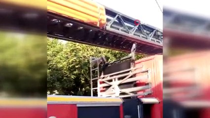 Arnavutköy’de binanın çatısındaki tele takılan kuş itfaiye tarafından kurtarıldı
