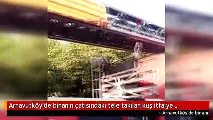 Arnavutköy'de binanın çatısındaki tele takılan kuş itfaiye tarafından kurtarıldı