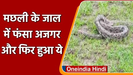 Odisha: Fish के जाल में आ फंसा 7 फीट लंबा Python, और फिर हुआ ये, देखिए Video | वनइंडिया हिंदी