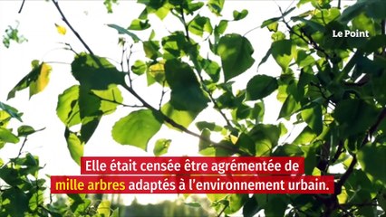Mille Arbres : la justice annule le projet d’un quartier suspendu à Paris