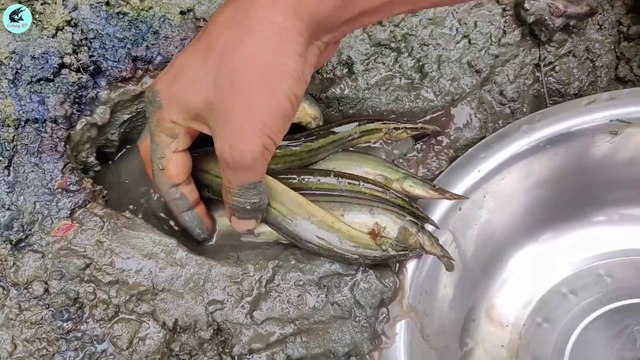 Fishing With Oil Unique Method of Small Eel Fishing From Hole