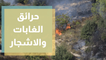 للمرة الثانية.. اندلاع حريق بالاعشاب الجافة والأشجار على طريق جرش - عمان