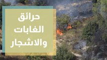 للمرة الثانية.. اندلاع حريق بالاعشاب الجافة والأشجار على طريق جرش - عمان