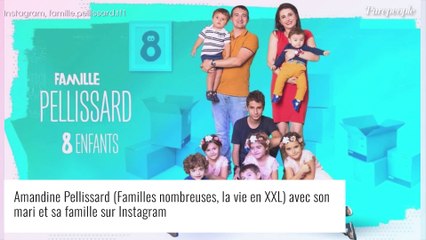Amandine Pellissard (Familles nombreuses) victime d'une grosse galère : "C'est inadmissible"