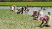 Watch | Farmer transforms son's bicycle into plough for farming in Tamil Nadu