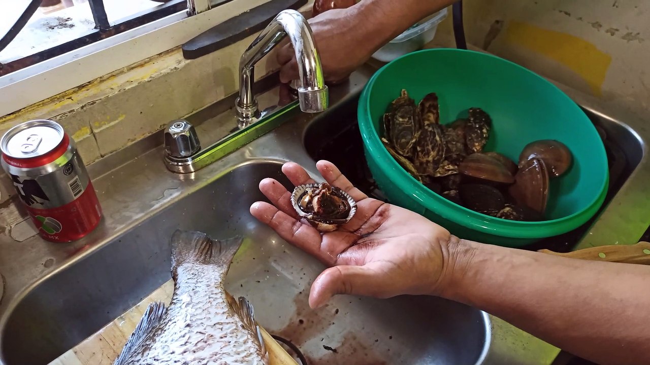 #receta de #cocina preparando #almeja negra pata de mula chocolata y #ostion #mariscos frescos recien #pescado