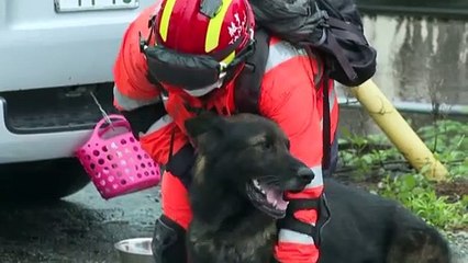 Сход оползня в Японии: поиски выживших