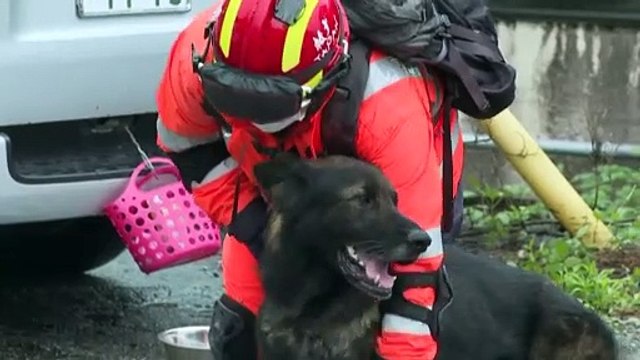 Сход оползня в Японии: поиски выживших
