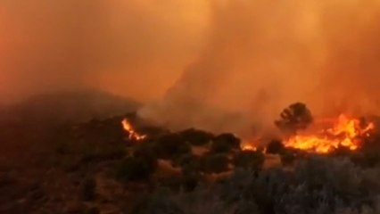 Le sud de Chypre ravagé par un terrible incendie, au moins 4 morts