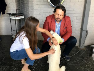 Eskişehir'de ilk defa bir köpeğe mikroçip takıldı