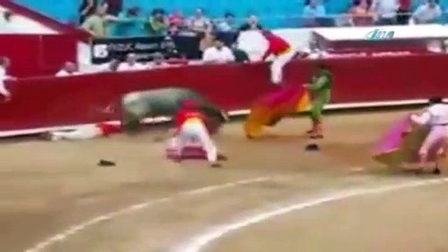 Boğa matadorlara arenayı dar etti!