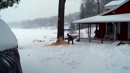 Cet homme coupe un arbre pour qu'il ne tombe pas sur sa maison !