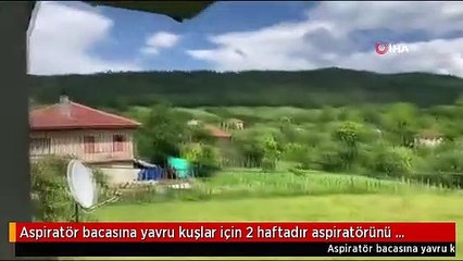 Aspiratör bacasına yavru kuşlar için 2 haftadır aspiratörünü çalıştırmıyor