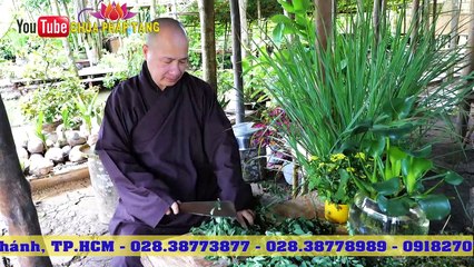 Trị Gai Cột Sống - Gai Gót Chân Từ Bài Thuốc Dân Gian Đơn Giản  Thầy Thích Trí Huệ