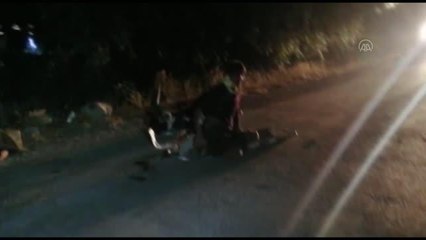 Düzensiz göçmenleri taşıyan minibüs şarampole devrildi