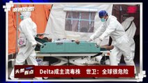【聚焦东盟 05-07-21】Delta成主流毒株    世卫：全球很危险