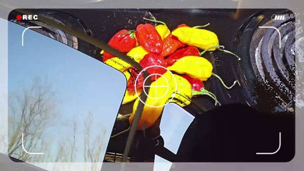 At the dentist and shopping l Film and animation l Powerdirector 18