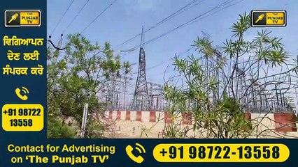 ਕੈਪਟਨ ਸਰਕਾਰ ਦਾ ਵੱਡਾ ਫੈਸਲਾ CM Captain takes decision | Judge Singh Chahal | The Punjab TV