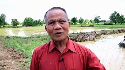 “สำลี” ส.ส.มหาสารคาม ลงแขกดำนา นำข้าวที่ได้ช่วยบุคลากรทางการแพทย์