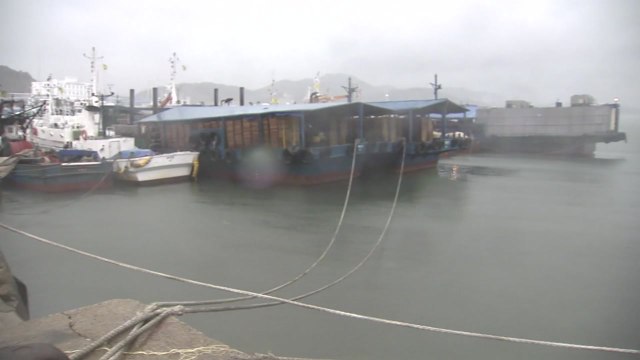 [날씨] 오늘 내륙 흐리고 후텁지근...충청 이남 장맛비, 야행성 호우 / YTN