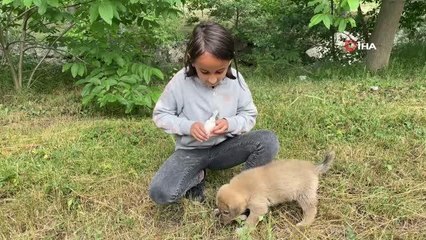 Köyün minikleri annesiz kalan yavru köpeği biberonla besliyor