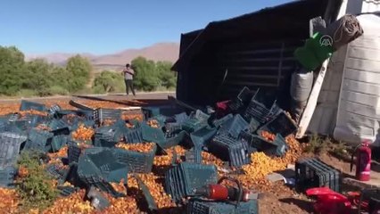 Kayısı yüklü kamyon devrildi: 1 ölü, 2 yaralı