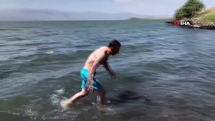 Çıldır Gölü’nde buz gibi suda serinlediler