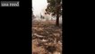 A rare dust devil appeared while at the scene of the Lava Fire in Siskiyou County, California