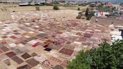 Скачать видео: Antalya'da buğday tarlalarında 'halı mevsimi' başladı