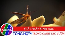 Bạn nhà nông - Kỳ 204: Giải pháp sinh học trong canh tác vườn