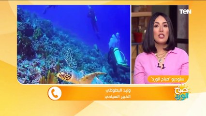 أمن على نفسك ضد كورونا.. قبل ما تسافر لازم تاخد الخطوة دي