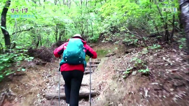 한국기행 - Korea travel_달콤한 나의 도시 1부- 그 여름, 수리산_#001