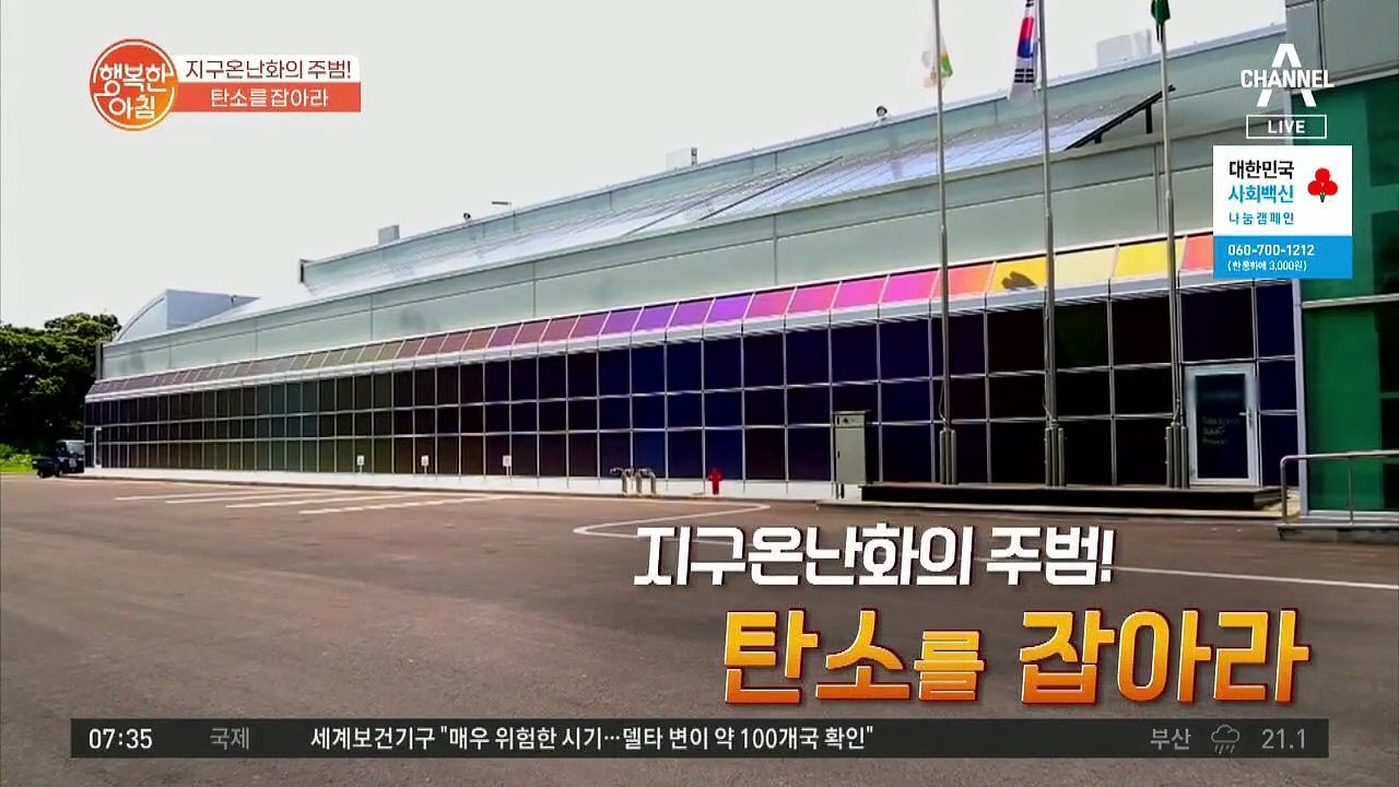 매일 35kg씩 감량하는 '탄소 다이어트'!