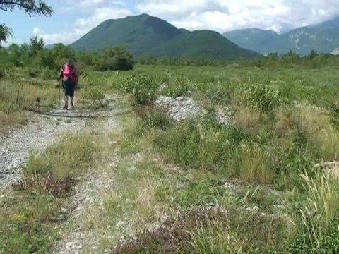 Les Grosses isles du Drac - Champ-sur-Drac 38560