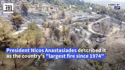 Cyprus suffers worst forest fire in decades