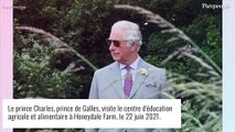 Prince Charles : Une chanteuse américaine était son grand crush plus jeune